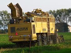 126i