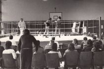 box29.jpg