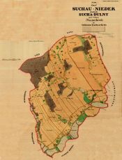 Dolní Suchá 1836 - mapa stabilního katastru